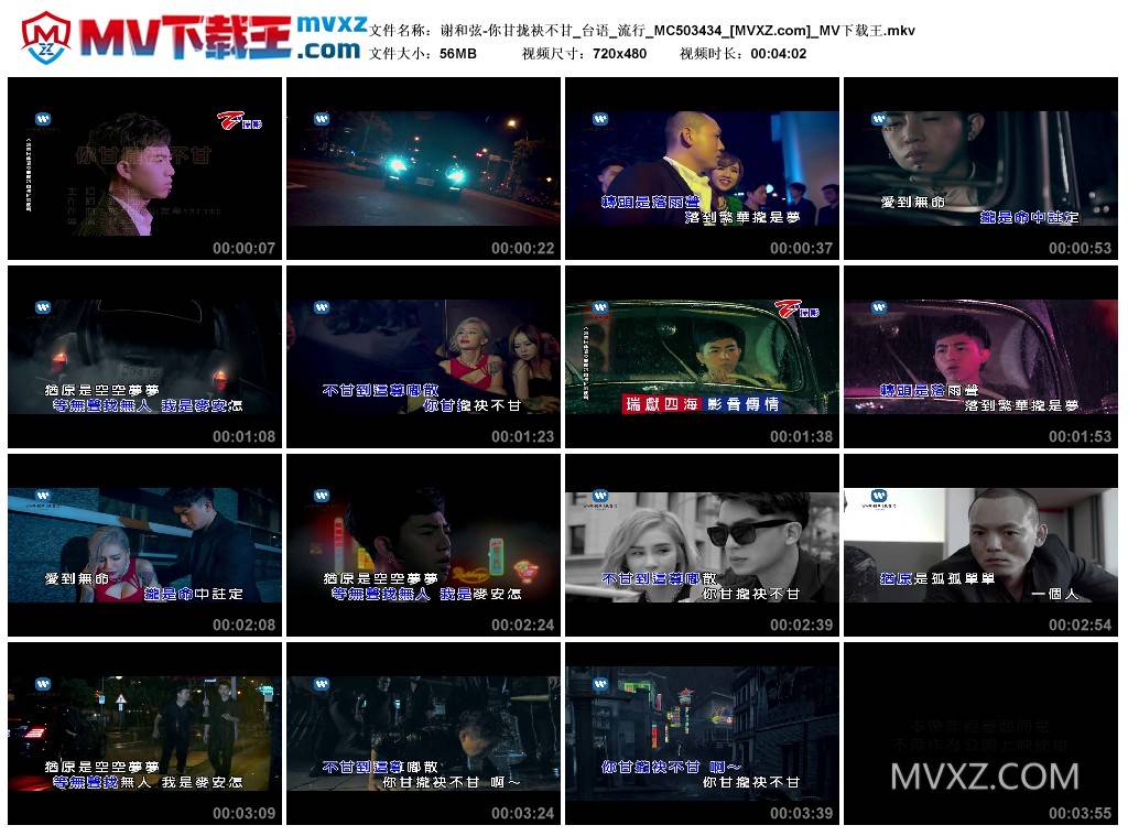 谢和弦-你甘拢袂不甘_台语_流行_MC503434
